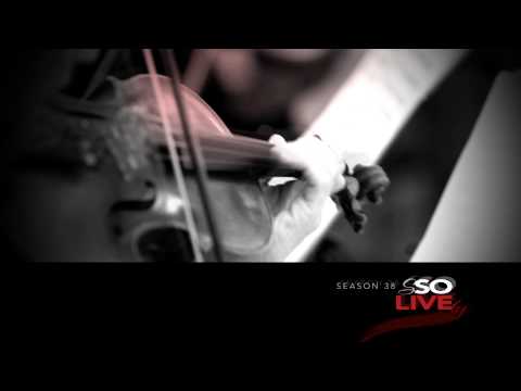 SSO 38 Spirited Sept Contra