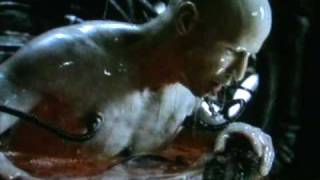 BEVIS FROND - The Blizaardvarks (Nick & The Dillingers} HYPNOTIC SPONGE