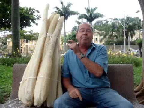 Lei da Bucha Vereador Toni do Badallo