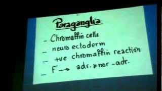 Dr Gihan Endocrine 2 P2 "Suprarenal gland - intro to thyroid gland".