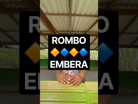 ROMBO - CUERPO Y SIMBOLO DE RESISTENCIA EMBERA, Resguardo La Mirla, Támesis, Antioquia 🇨🇴 Colombia