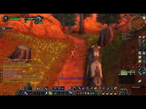 Rogue/Hunter Stonetalon PvP