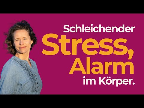 #1: Sicherheit – der unterschätzte Gamechanger für dein Nervensystem