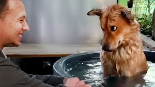 Miniature vidéo