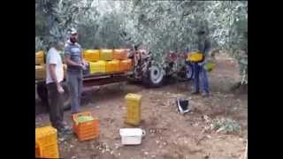 preview picture of video 'Azienda Agricola Pellegrino 2014'