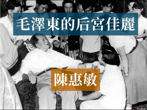 毛澤東的后宮佳麗陳惠敏|Mao Zedong#歷史的迴響#毛澤東歷史