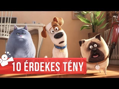 A kis kedvencek titkos élete - 10 érdekes tény