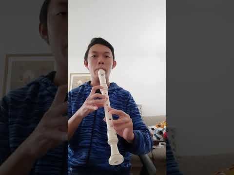 Recorder Sound Comparison: Soprano vs Alto vs Tenor 2