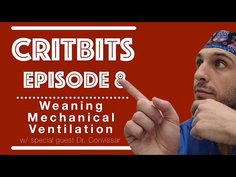 HOW DO I WEAN MY PATIENT FROM MECHANICAL VENTILATION