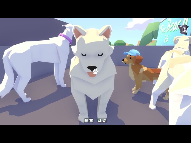 Vídeo relacionado con Puparazzi - Funny Dog Paparazzi Fotógrafo Juego de palabras Camiseta
