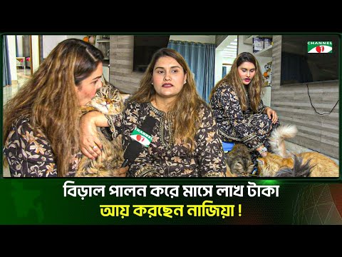 বিড়াল রাজ্যের রাণী নাজিয়ার মাসে আয় লাখ টাকা | Cat | Channel i