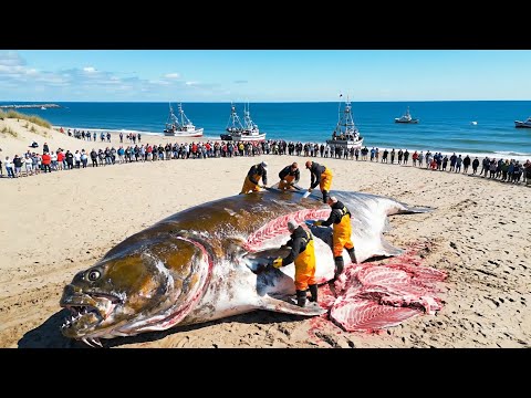 The Ocean World and 3 more