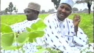 Fati - Hausa Movie Song
