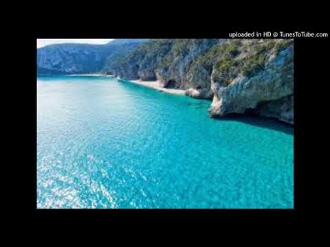 The Surfaris - Point Panic