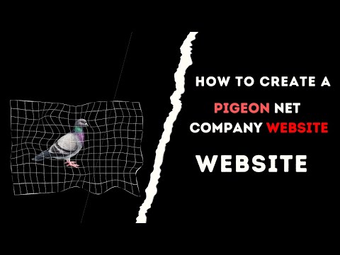 Pigeon Net Company Website — client website video
