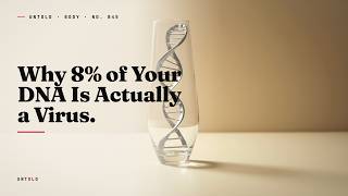 Why 8% of Your DNA Is Actually a Virus (It's Still There)