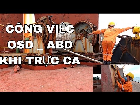 THỦY THỦ OSD_ ABD KHI TRỰC CA SẺ LÀM NHỮNG VIỆC GÌ?