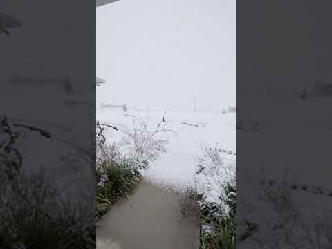 01/10/2021 Snow In Waco, Texas 001