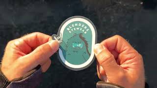 Blenders Eyewear Aura Snow Goggles - Mellow Mint Unboxing