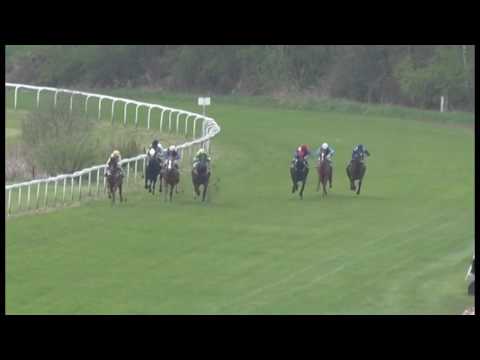 KV, 29. 4. 2017, 7. dostih - Dostih Karlovarského kraje - Karslbadbezirk Rennen