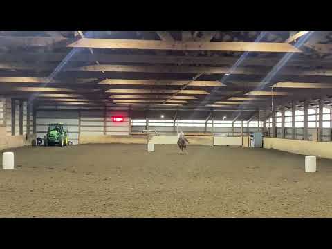 Stewart's Arena video thumbnail