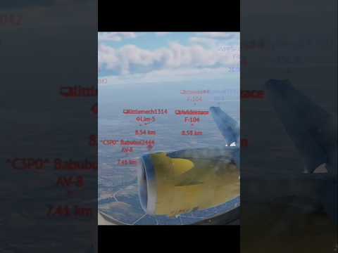 what passengers saw... #warthunder #aviation #edit #memes #shorts #fyp