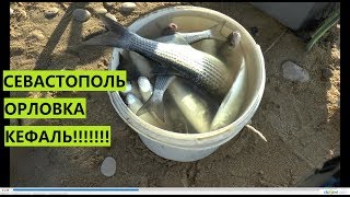 Морская рыбалка в крыму декабрь 2019