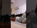 Beautiful Ethiopian Girl On Tiktok Let Me See This Ass