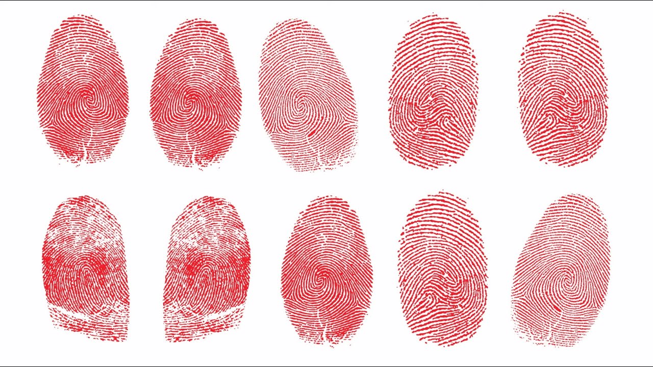 Individual Characteristics of Fingerprints