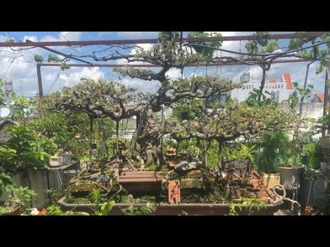 Hai Tác Phẩm Xanh Nam Điền