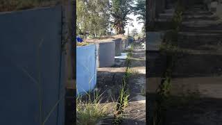 Download lagu MENUJU MAKAM RICHIE RICARDO. mp3