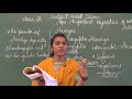 STATE 6 SOCIAL IMPORTANT DYNASTIES OF NORTH INDIA PART 1