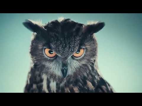 Culture Beat - Mr.Vain (Ramba Zamba Bootleg)