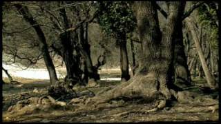 365 Jours Lyrics English Translation