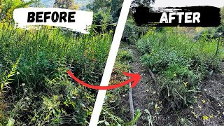 Overgrown Veggie Garden TRANSFORMATION | Before & After Cleanup