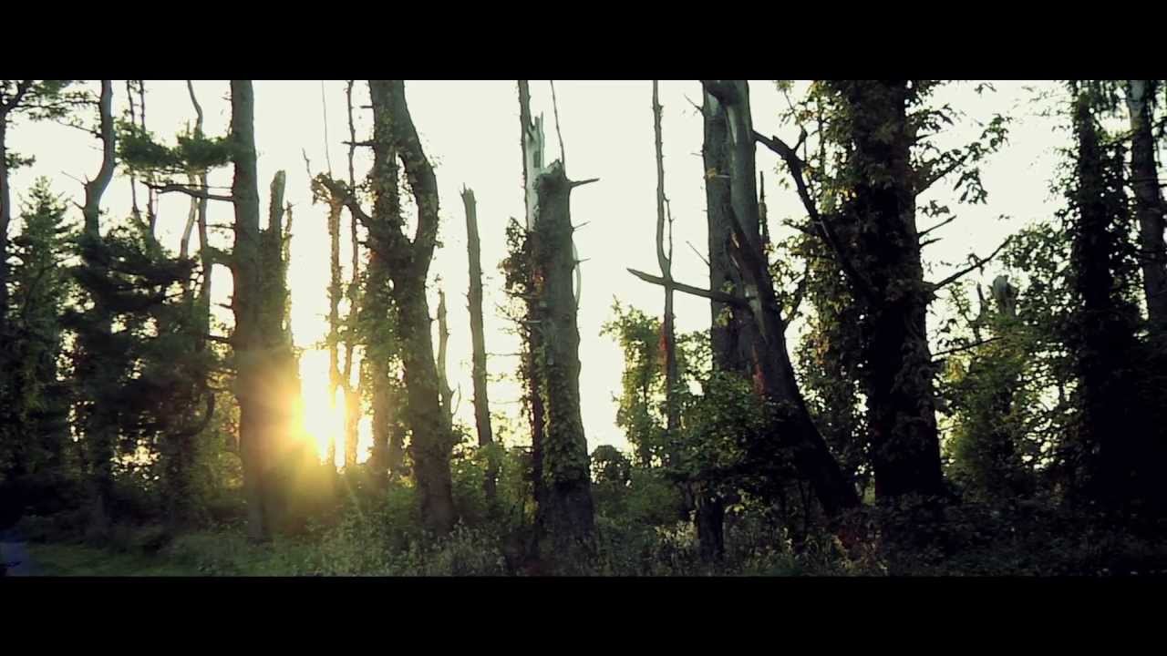 Hylo Official Trailer