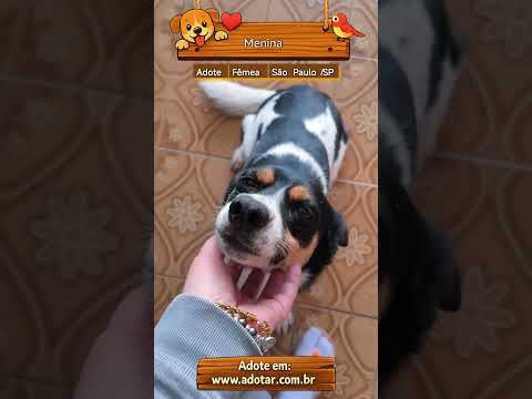 Vídeo de Menina