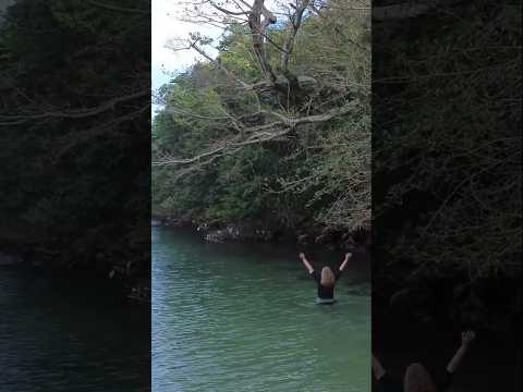 Tanguazinho - uma reflexão