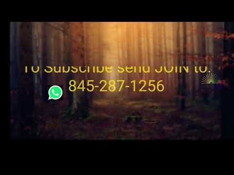 הרב מענדל ווייס געזאגט 40 נשמת  און באקומען 35 טויזנעט דאלער!!!!