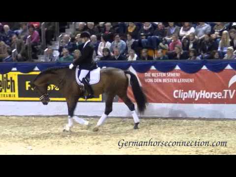 Vater zu Katnr. 18 Riemaars Enheduanna: Escolar 2014 Hengstvorführung in Münster