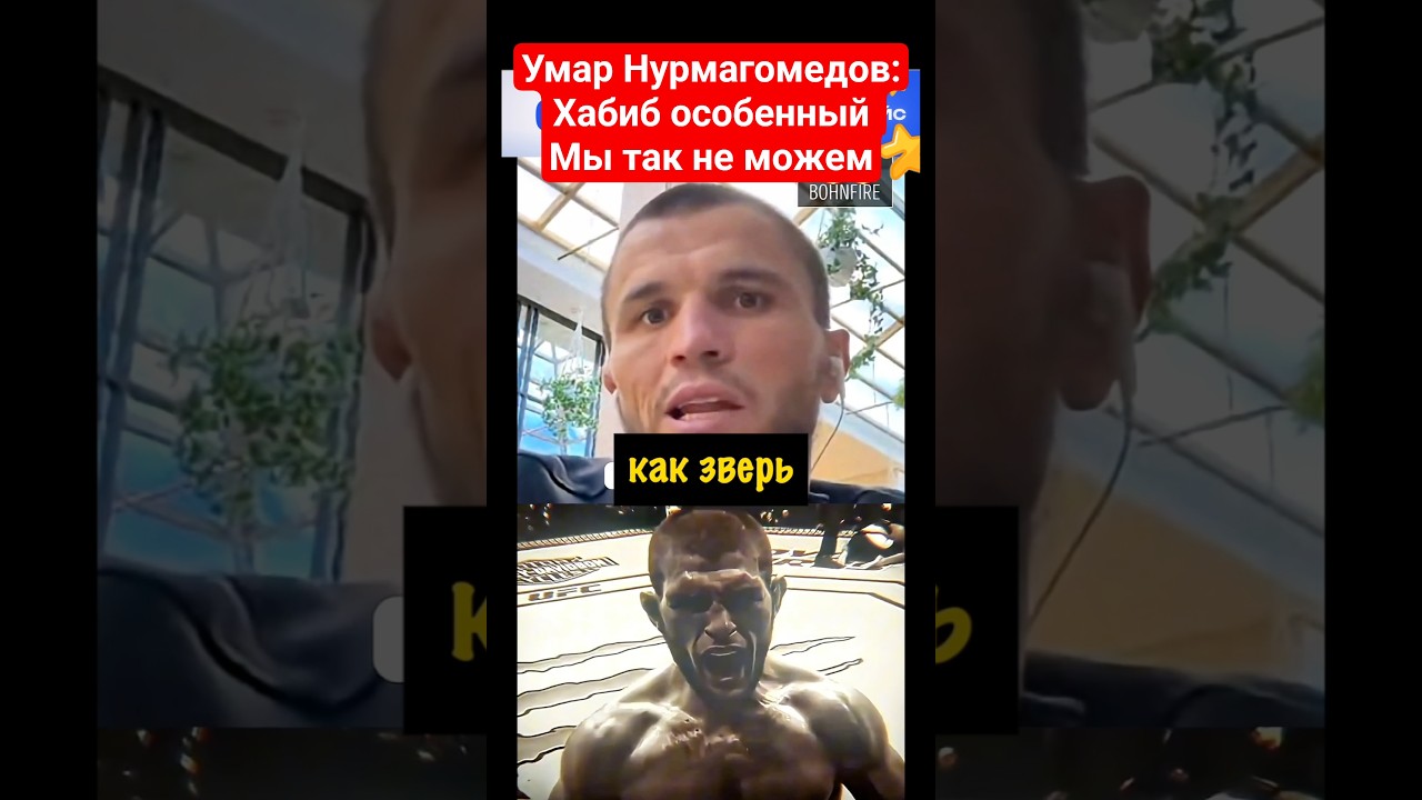 Хабиб Особенный, Мы Так Не Можем. Умар Нурмагомедов - Брат Хабиба