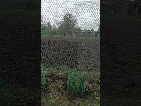 Сетка пластиковая для вольеров, заборов, цыплят 1,5х30м ячейка 20х20х2,2мм. ОТ ПРОИЗВОДИТЕЛЯ - фото 2 - id-p2795218522