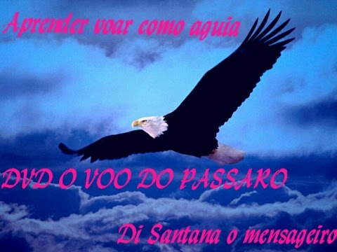 DVD O VÔO DO PÁSSARO-Di Santana O Mensageiro