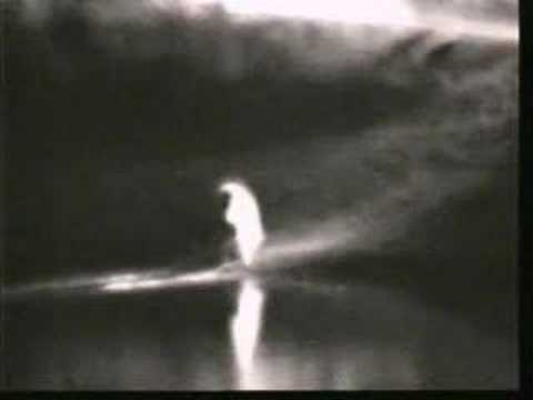 Male Lion Appears As the Buffalo Herd Departs - Djuma