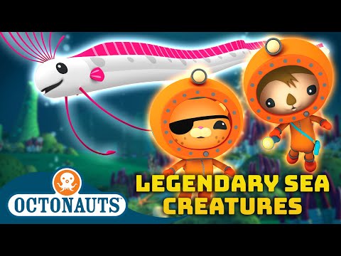 ​@Octonauts - ✨ Legendary Sea Creatures 🐋 | 90 Mins Compilation | Underwater Sea Education