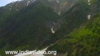 Sheep flock en route to Kargil