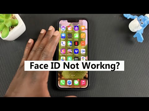 Face ID Not Working? How To Reset Face ID On iPhone
