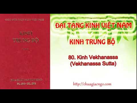 Kinh Trung Bộ - 080. Kinh Vekhanassa