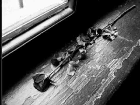 Zamjo - kein Leben mit dir