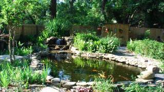 Disfiguring The Goddess- Teeth Of Emultion